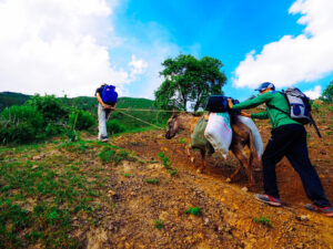 Trekking in Arslanbob